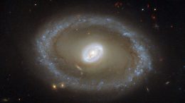 New Hubble Image of NGC 3081