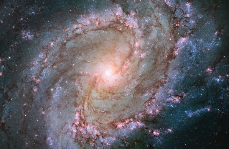 New Hubble Image of Spiral Galaxy M83