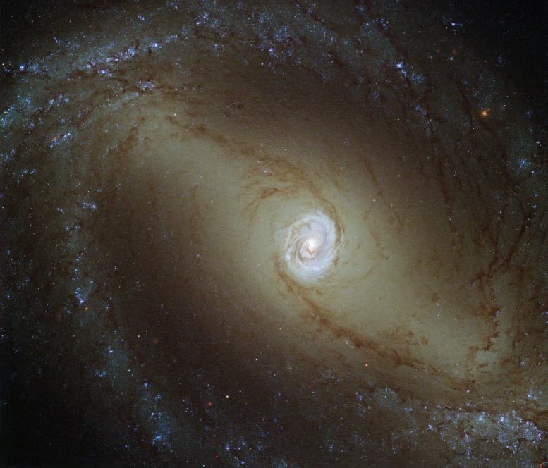 New Hubble Image of Spiral Galaxy NGC 1433