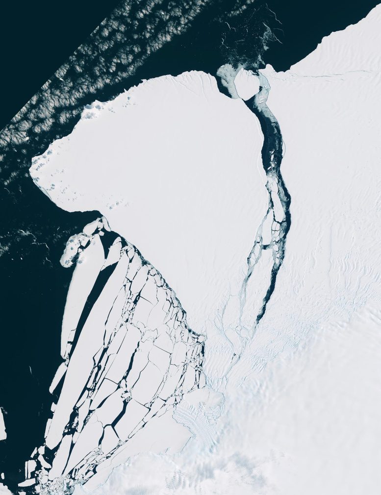New Iceberg A81 Antarctica