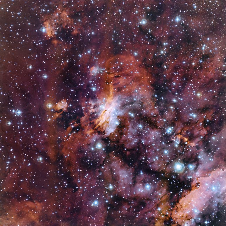 New Image of the Prawn Nebula