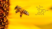New Insecticidal Compound Reduced Bee Toxicity