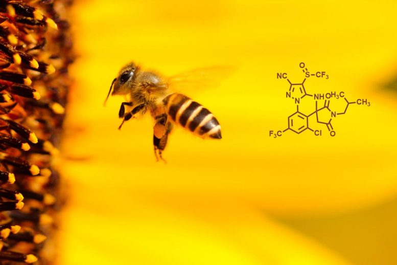 New Insecticidal Compound Reduced Bee Toxicity
