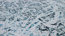 New Model Helps Explain the Mystery of the Arctic’s Green Ice