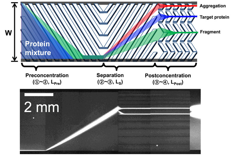 New Nanofluidic Device Enables Rapid Testing