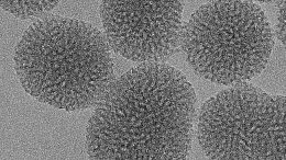 New Nanoparticle To Act at the Heart of Cells