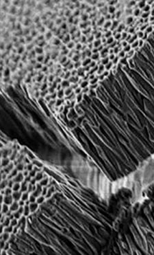 New Nanotech Pores Keep Bacteria from Sticking to Surfaces