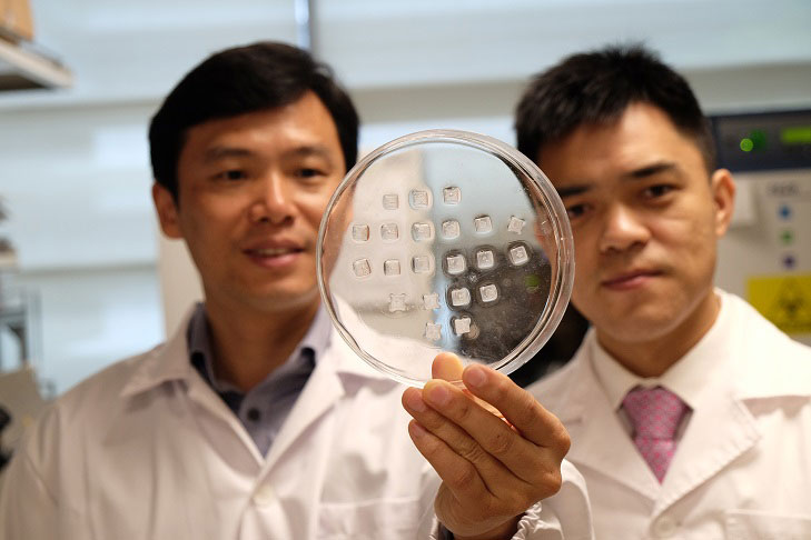 New Patch Turns Energy-Storing Fats Into Energy-Burning Fats