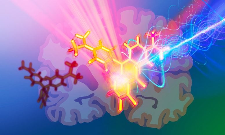 New Photoacoustic Probes Enable Deep Brain Tissue Imaging