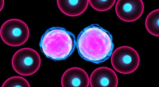 New Research Changes View about the Genetics of Leukemia Risk