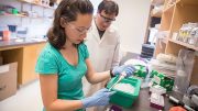 New Research Combines Developmental Biology, Evolutionary Genomics, and Bioinformatics