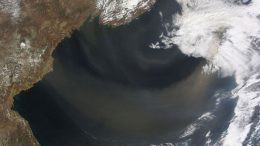 New Research Shows Phytoplankton Are Extremely Sensitive to Changing Levels of Desert Dust