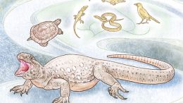 New Research Shows Turtles Share a Recent Common Ancestor with Birds and Crocodiles