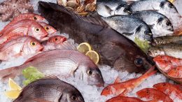 New Research Tracks Mercury Sources in Seafood