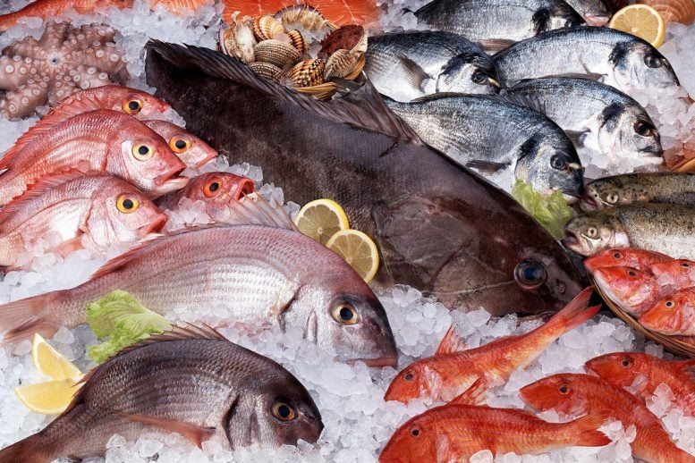 New Research Tracks Mercury Sources in Seafood