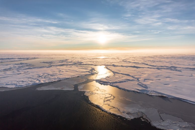 New Sea Ice Forming in the Arctic