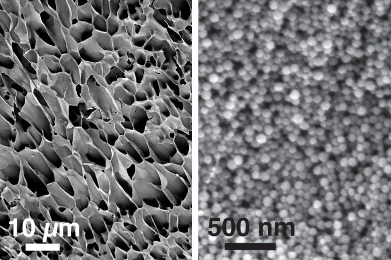 New Self-healing Nanogel for Drug Delivery