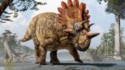 New Species of Horned Dinosaur Regaliceratops Peterhewsi