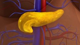 New Study Pinpoints PON2 Role in Pancreatic Cancer