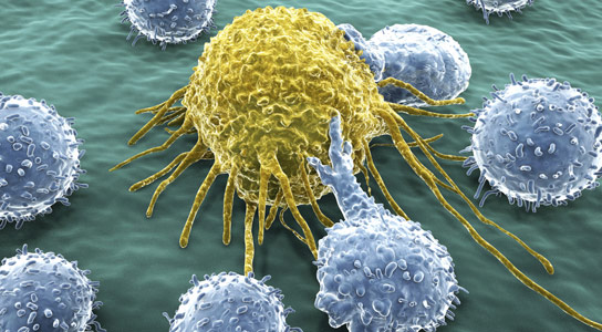 New Study Reveals Two-Step Strategy for Weakening Cancer