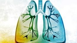 New Study Shows Thyroid Hormone Therapy Heals Lung Fibrosis