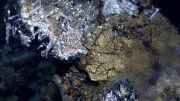 New Study Tests Theory that Life Originated at Deep Sea Vents