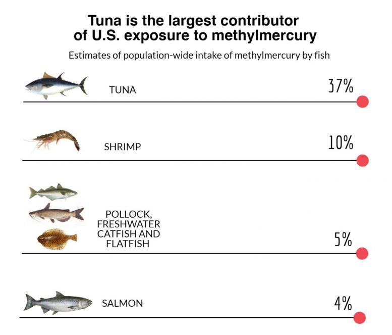 New Study Tracks Mercury Sources in Seafood
