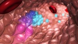 New Technique Raises Possibility of Making all Types of Blood Cells to Treat Disease