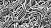 New Technique Results in Ultrafine Fibers With Exceptional Strength