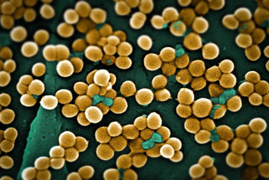 New Technologies Could Enable Novel Strategies for Combating Drug-Resistant Bacteria