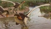New Velociraptor Relative