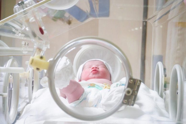 Newborn Baby Hospital