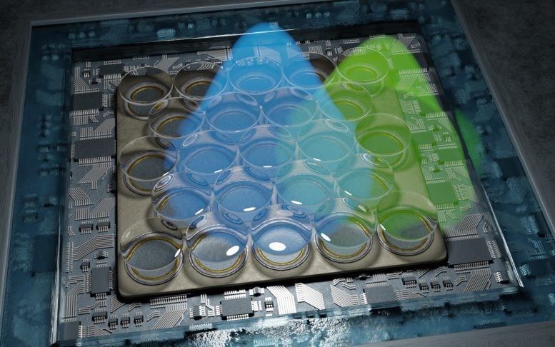 Newly Developed Fluorescence Microscope Highly Sensitive Detector