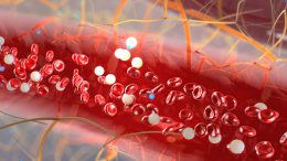 Newly Developed Microfluidic Device Isolates Plasma Cells from Blood