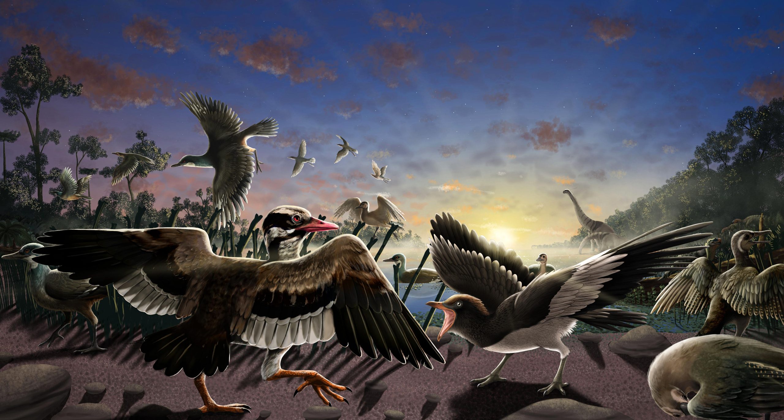 “Amazing” New Fossil Birds – From the Time of Dinosaurs – Discovered Near China’s Great Wall thumbnail