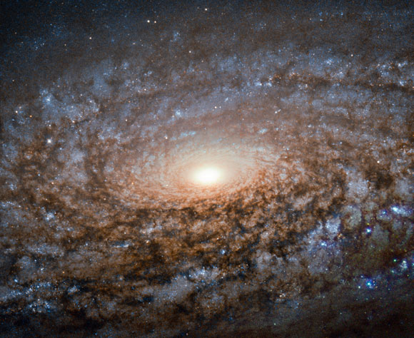 Newly Released Hubble Image Shows Spiral Galaxy NGC 3521