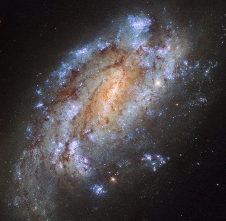 Newly Released Hubble Image of NGC 1559