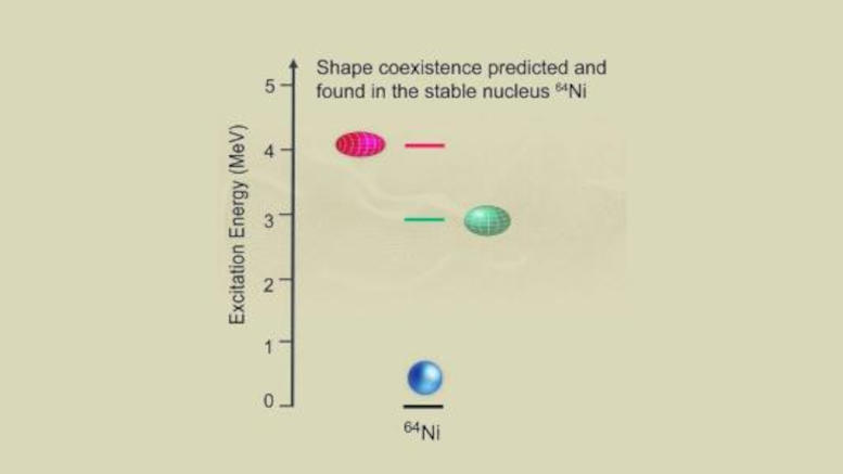 Energy state of the Ni 64 Nucleus