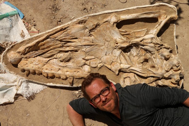 Nick Longrich con Mosasaur Fossil