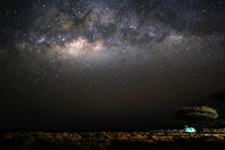 Scientists Discover “Shocking” 18-Million-Year-Old Secret Hidden in