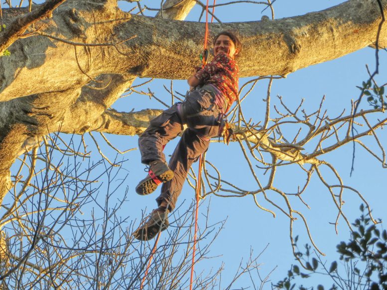 Nisa Karimi Climbing a Baobab Tree