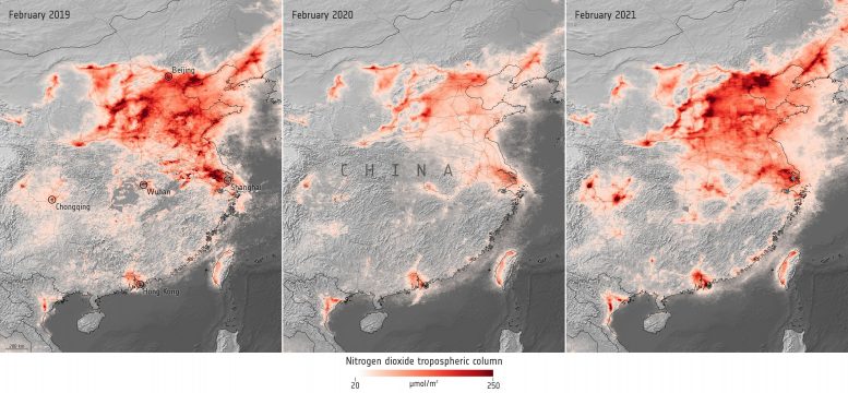 Nitrogen Dioxide Concentrations Over China
