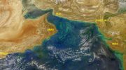 Noctiluca Blooms Arabian Sea