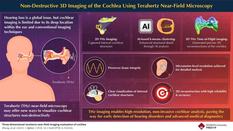 Non-Destructive 3D Imaging of the Cochlea Using Terahertz Near-Field Microscopy