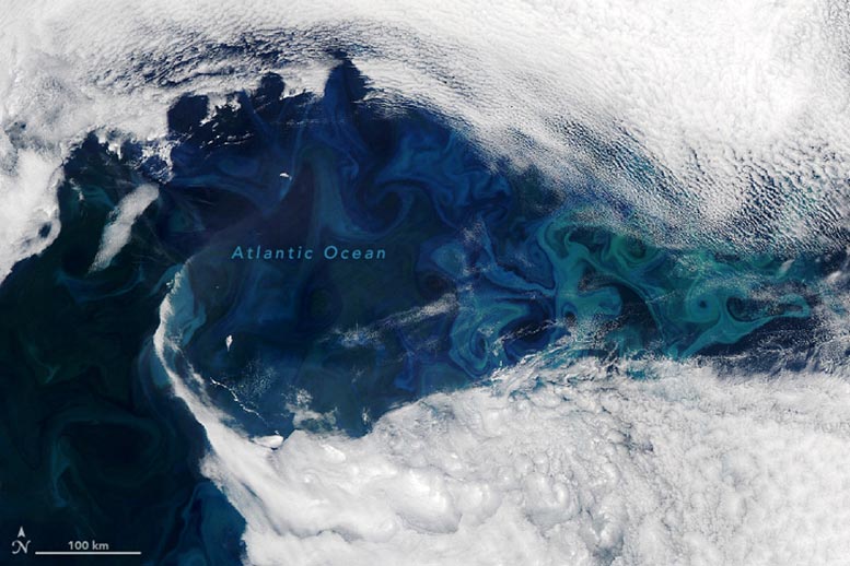 North Atlantic Phytoplankton Bloom June 2024 Annotated