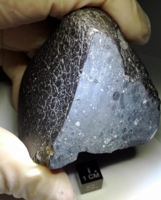 Northwest Africa 7034 Martian Meteorite