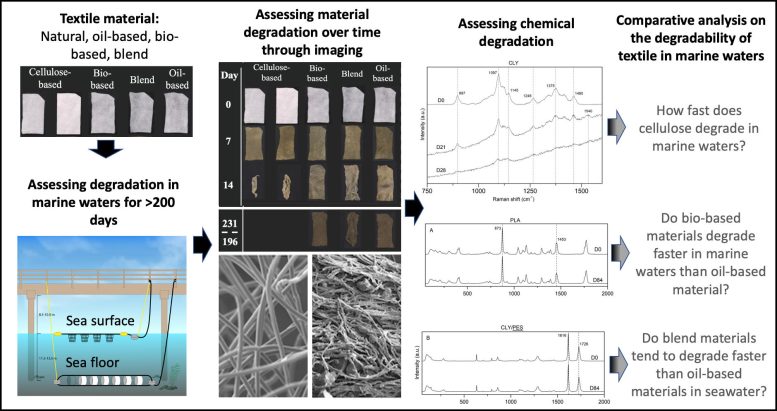 Not So Biodegradable – Graphical Abstract