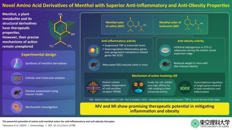 Novel Amino Acid Derivatives of Menthol