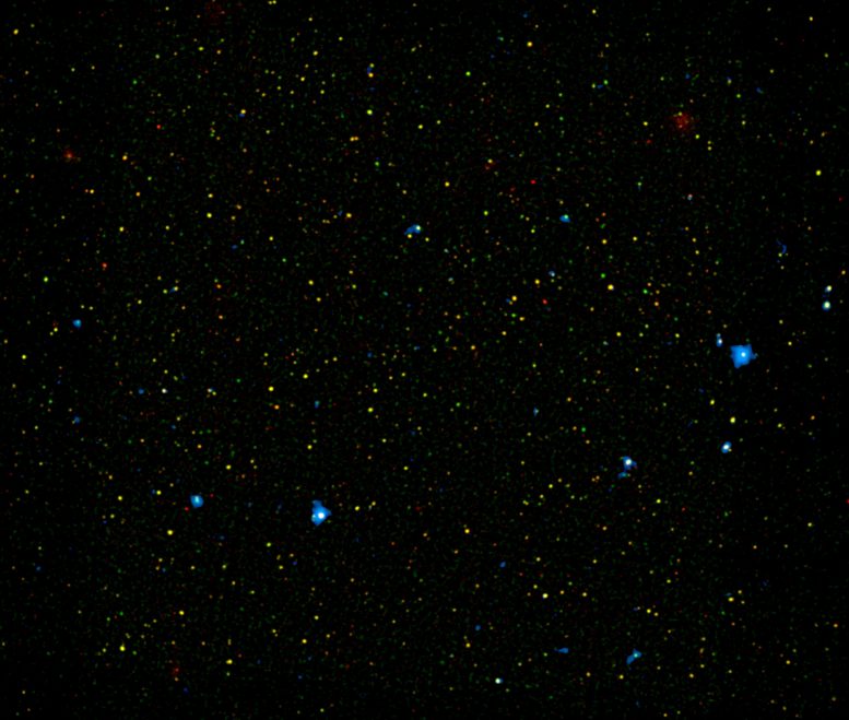 NuSTAR Shows a Range of Supermassive Black Holes