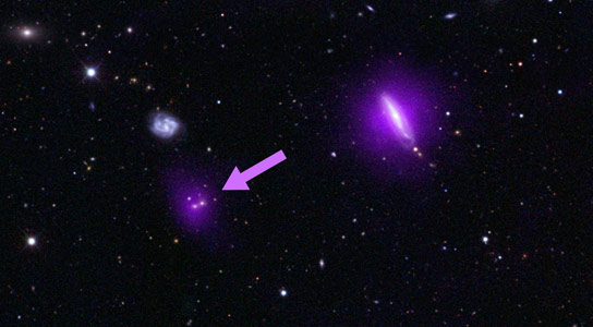 NuSTAR Views Supermassive Black Holes